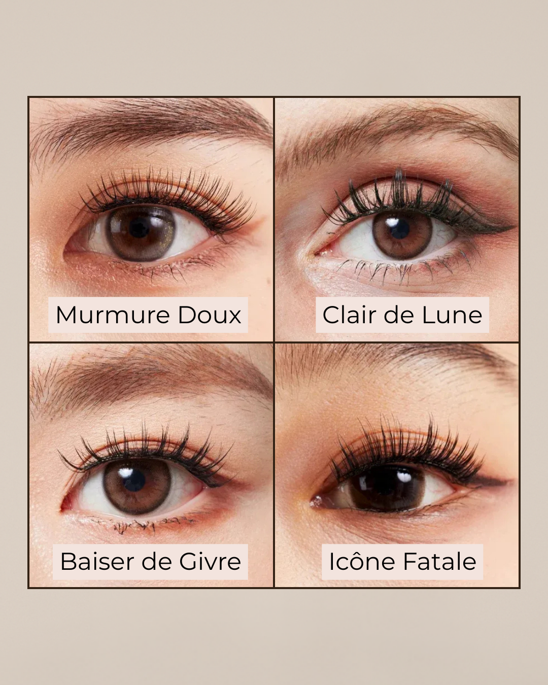 Cils Magnétiques Cora Léonora